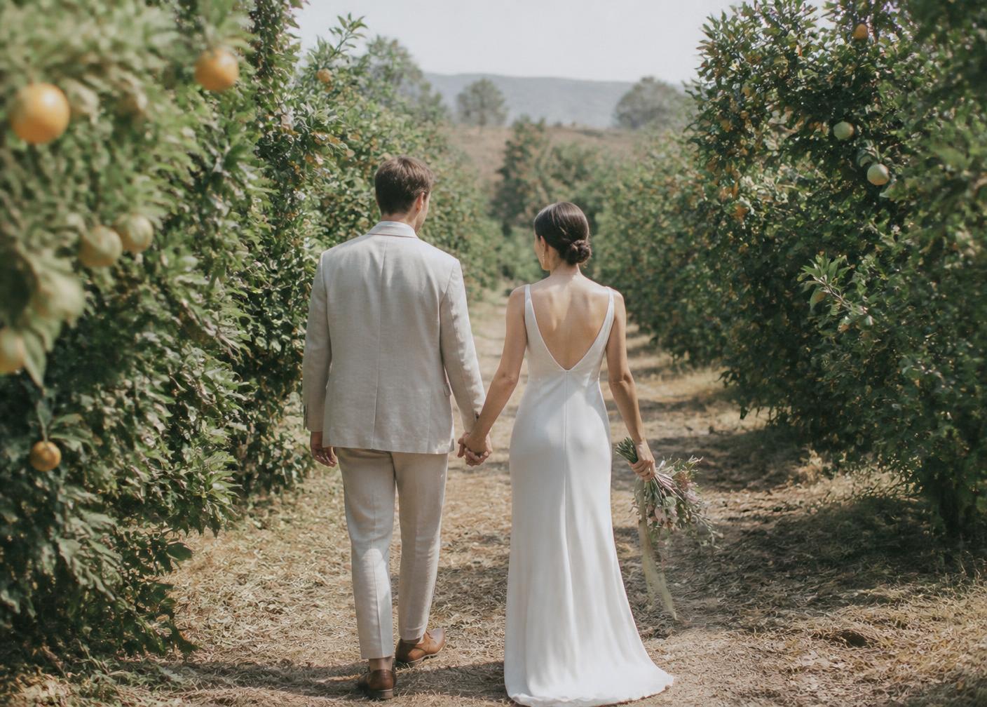 A couple walking away hand in hand through a citrus grove in midday sun